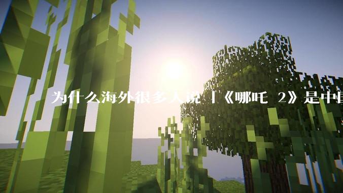 为什么海外很多人说「《哪吒 2》是中国人自己的狂欢」？